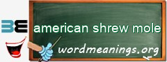 WordMeaning blackboard for american shrew mole